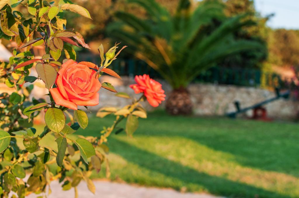 Villas Almyrida Almirida Kamer foto